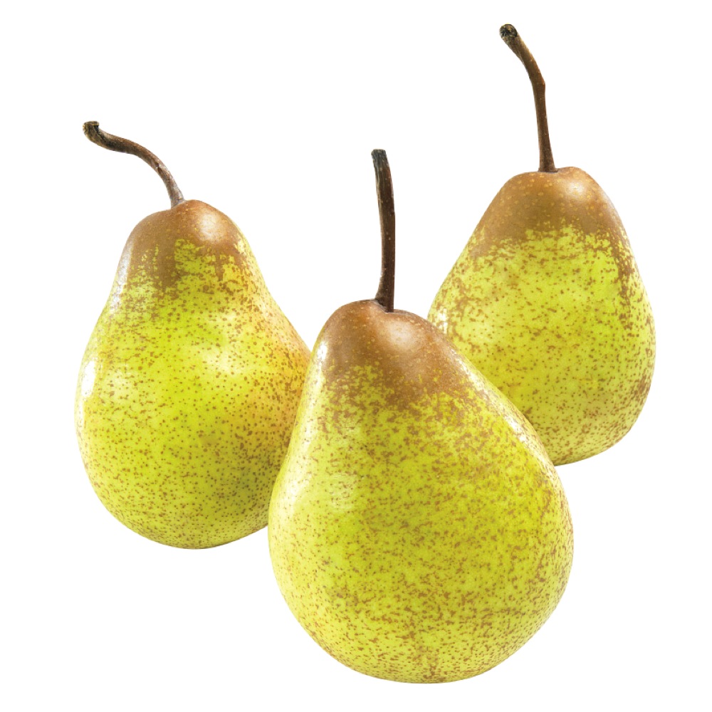 Rocha Pears