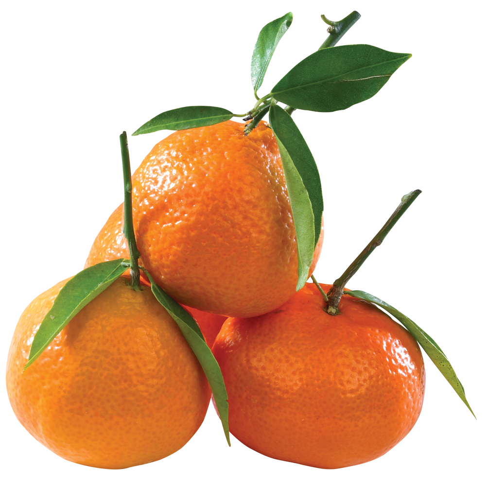 Bulk Clementines