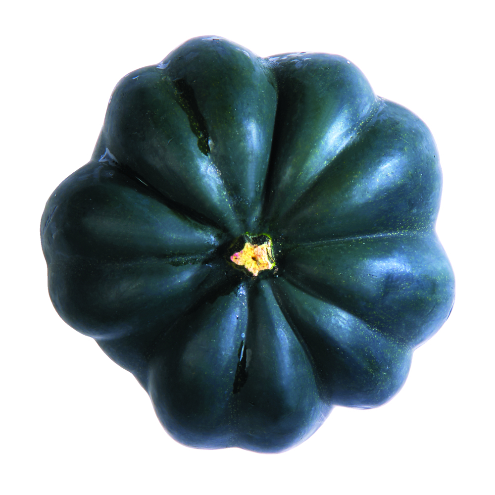 Acorn Squash   0000000004750 