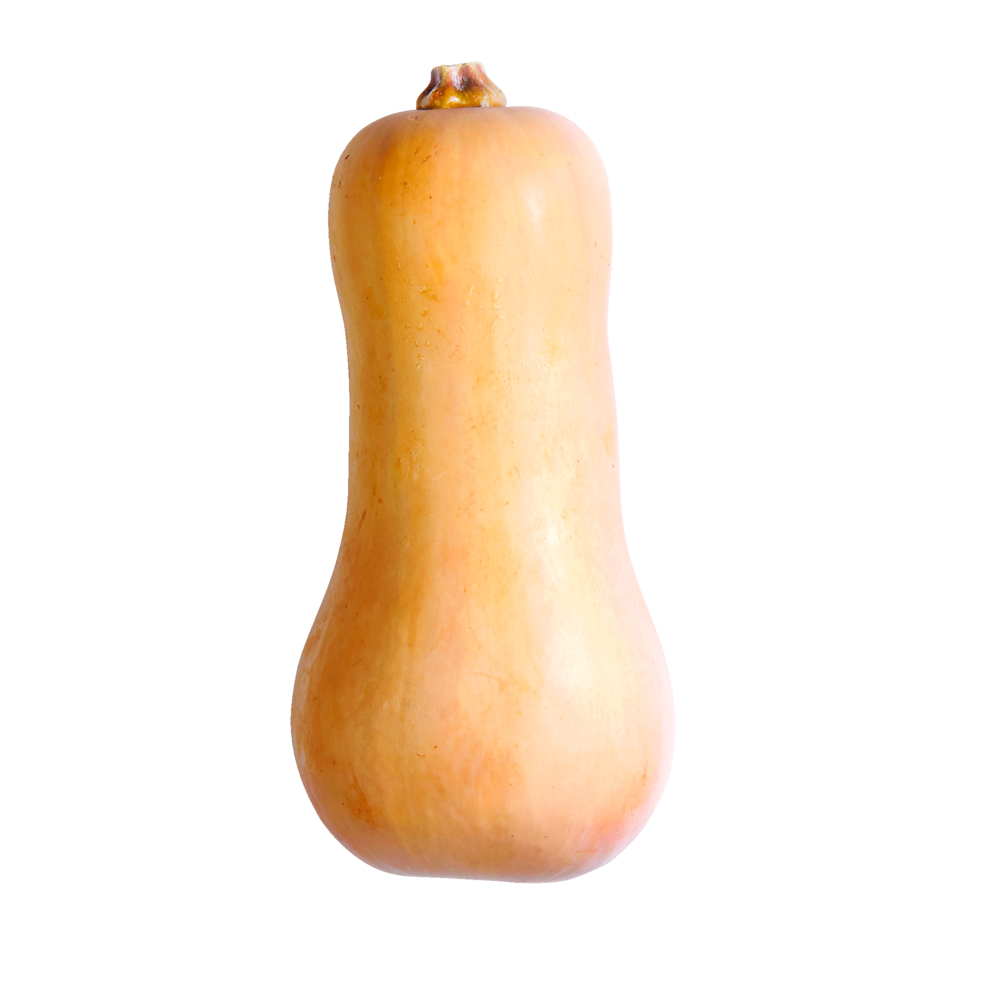 Butternut Squash