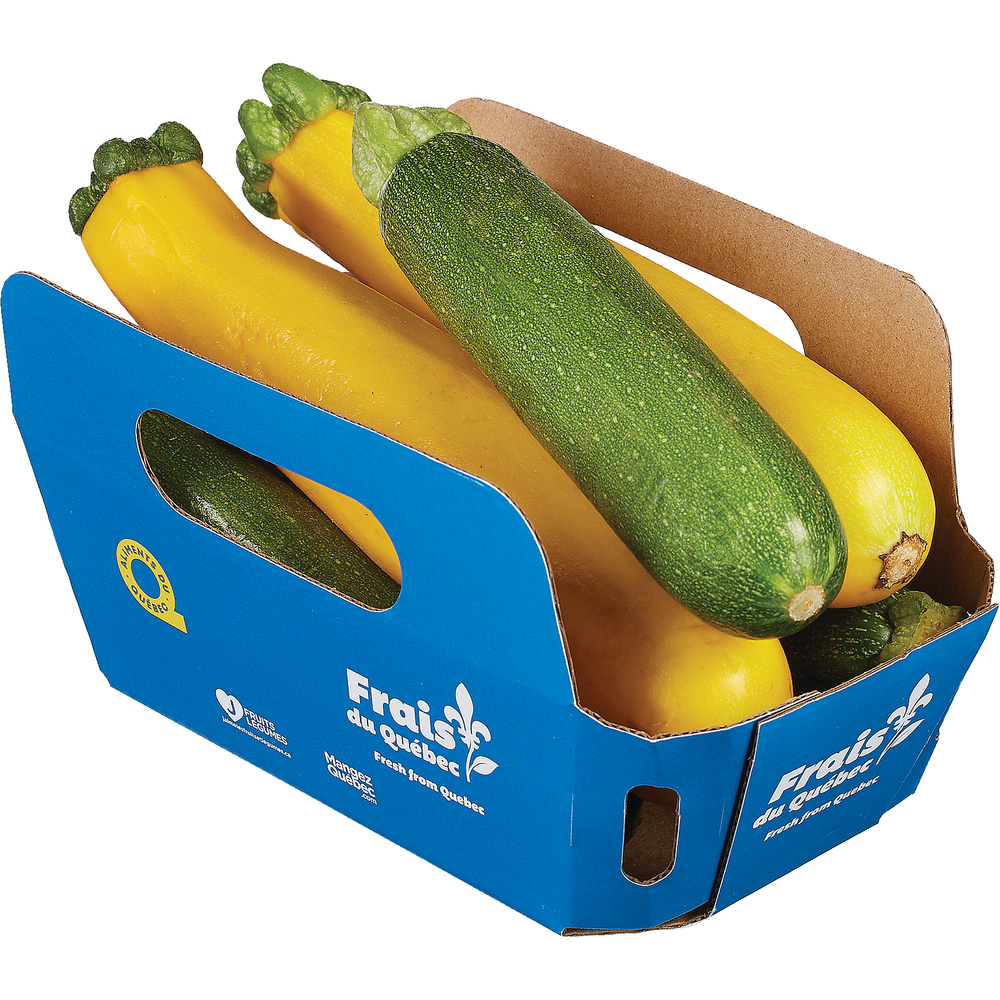 Green Yellow Basket Zucchini