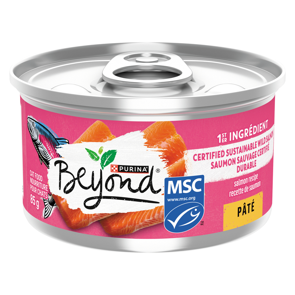 Beyond Pate Grain Free Salmon Cat Food