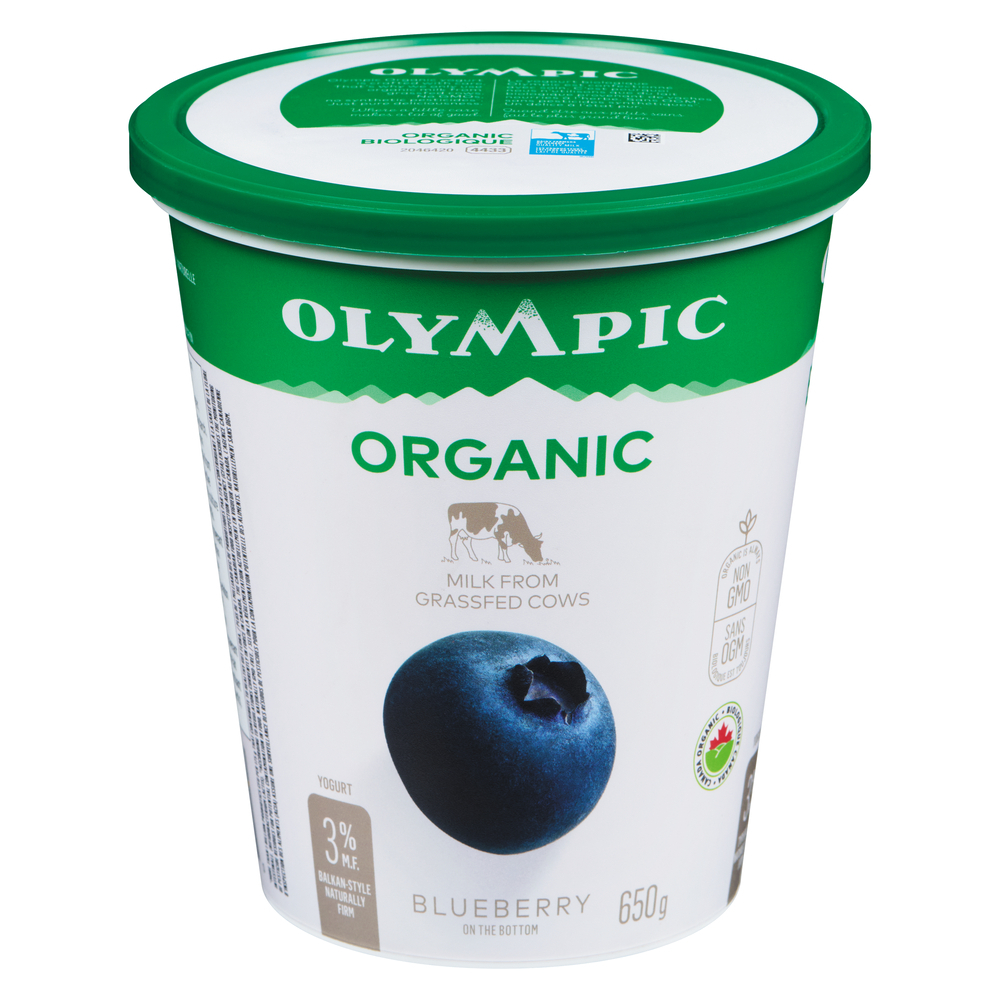 Organic Blueberry Yogurt