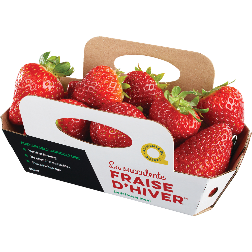 Winter Strawberries   0008904300001 