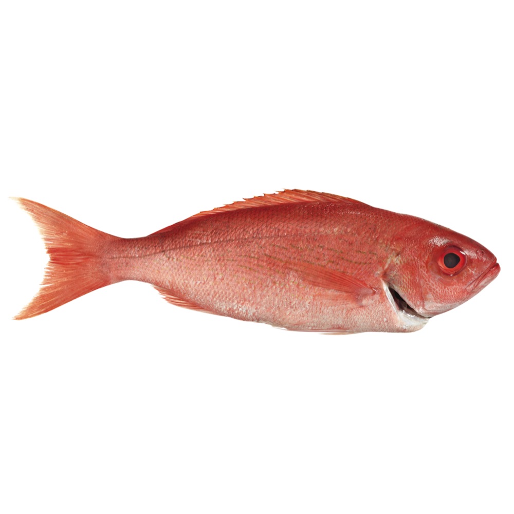 1/2 Red Snapper