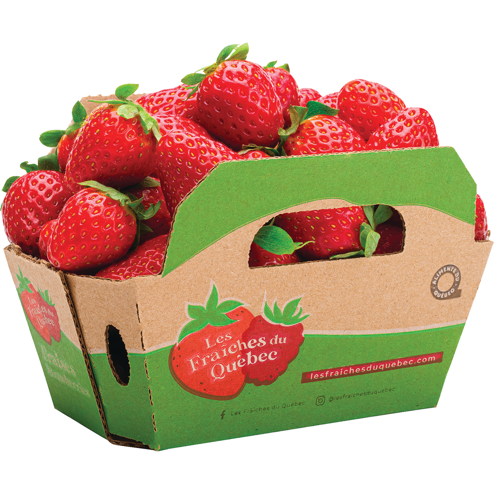 Strawberry Basket