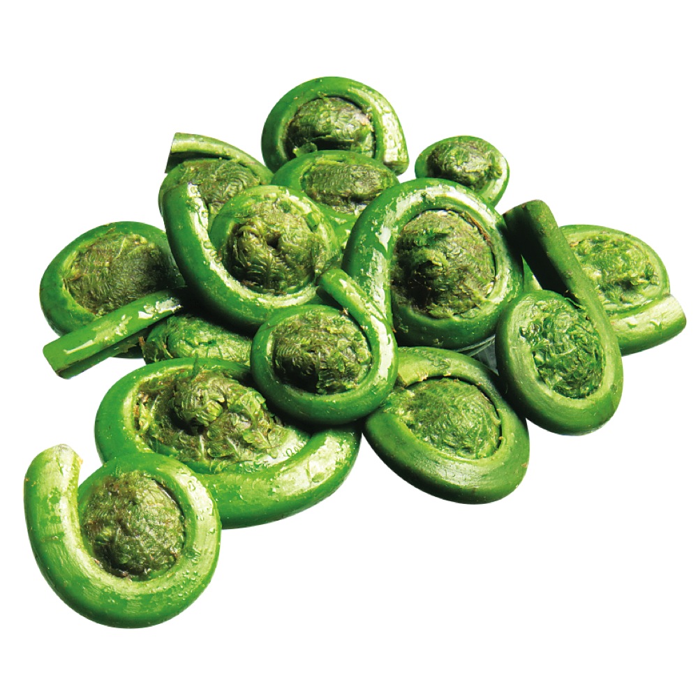 Fiddleheads   0080199400061 