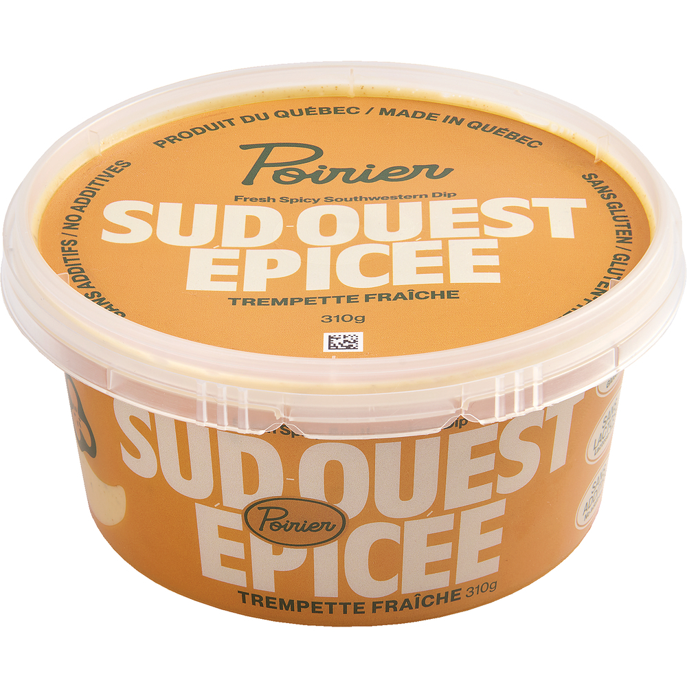 Spicy Southwest Dip Dip